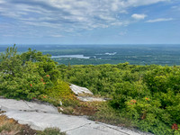 Silver Peak