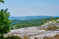 Silver Peak