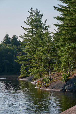 Johnnie Lake