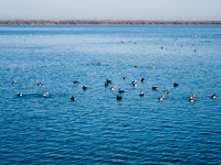 Leslie Street Spit