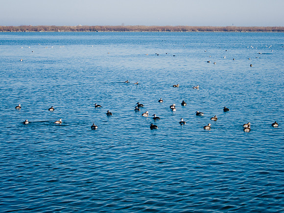 Leslie Street Spit